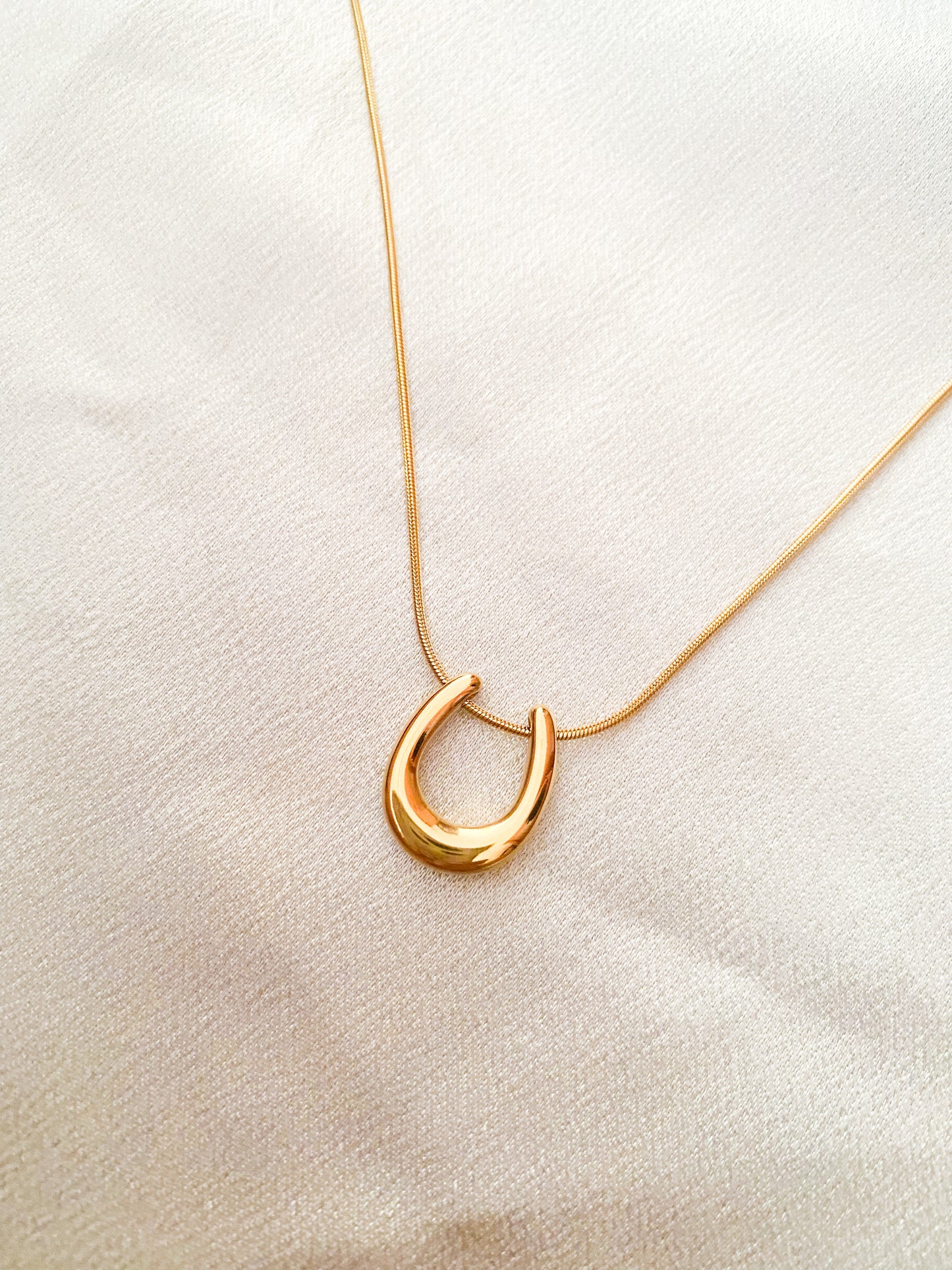 Horseshoe necklace