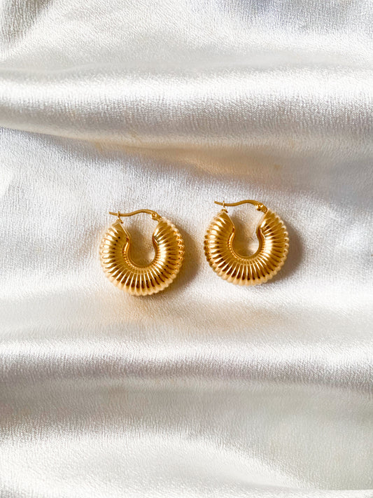 Regan spiral hoops